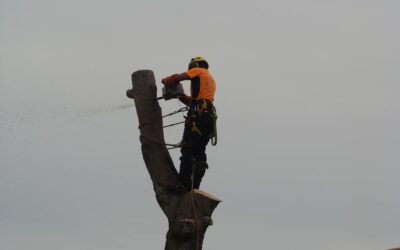 Abattage par démontage en rétention