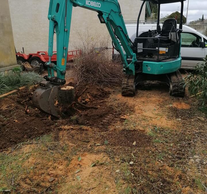 Travaux d&rsquo;arrachage ou rognage de souches