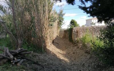 Débroussaillage de ruisseau