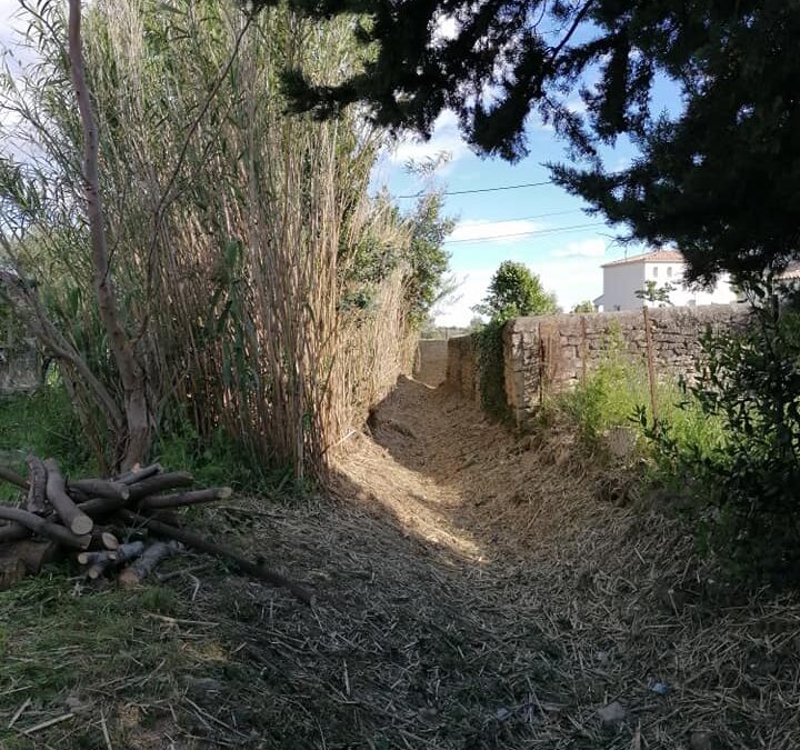Débroussaillage de ruisseau