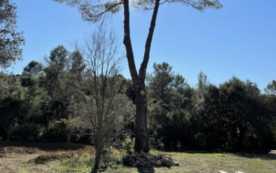 Remontée de couronne