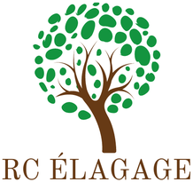 RC élagage