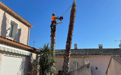 Abattage par démontage