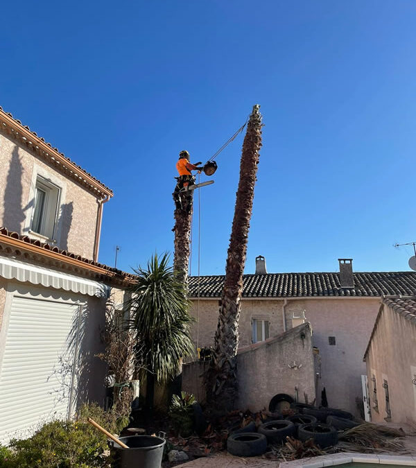Abattage par démontage