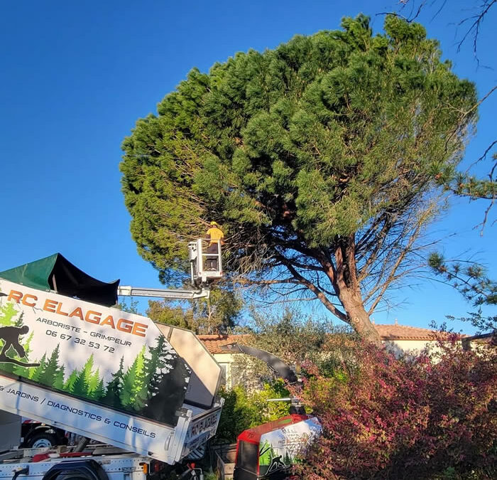 Intervention en urgence